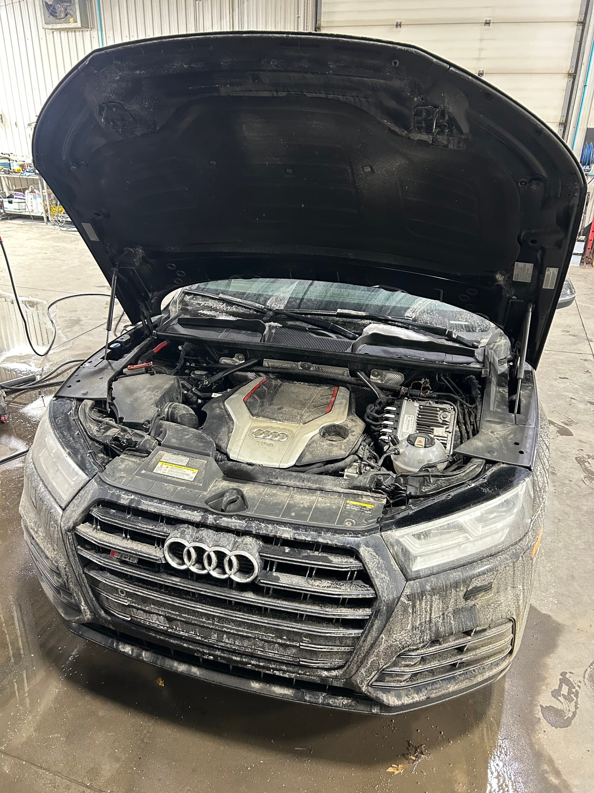 Audi SQ5 exterior detailing — Avant